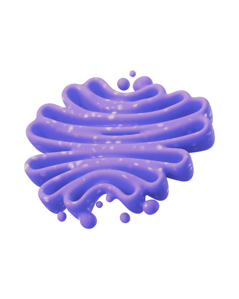 image hover
